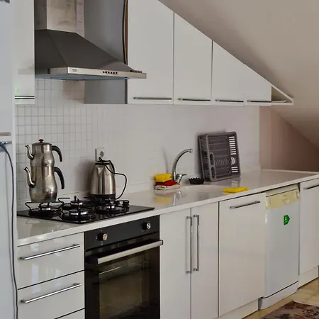 公寓式酒店 Eser Apart Dalyan